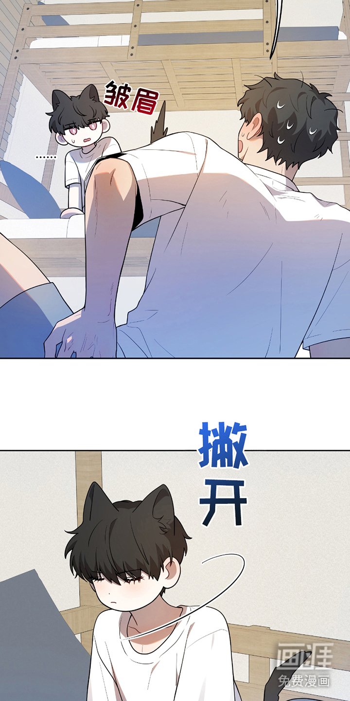 第8章：下铺