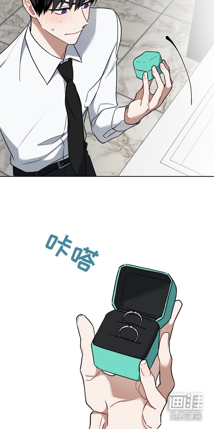 第3章：提示框