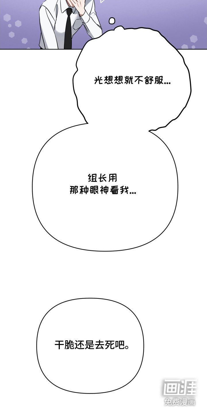 第3章：提示框
