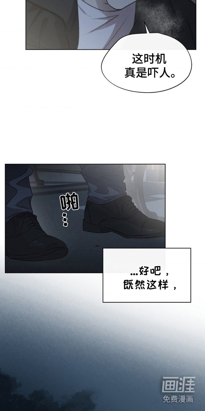 第11章：猜测