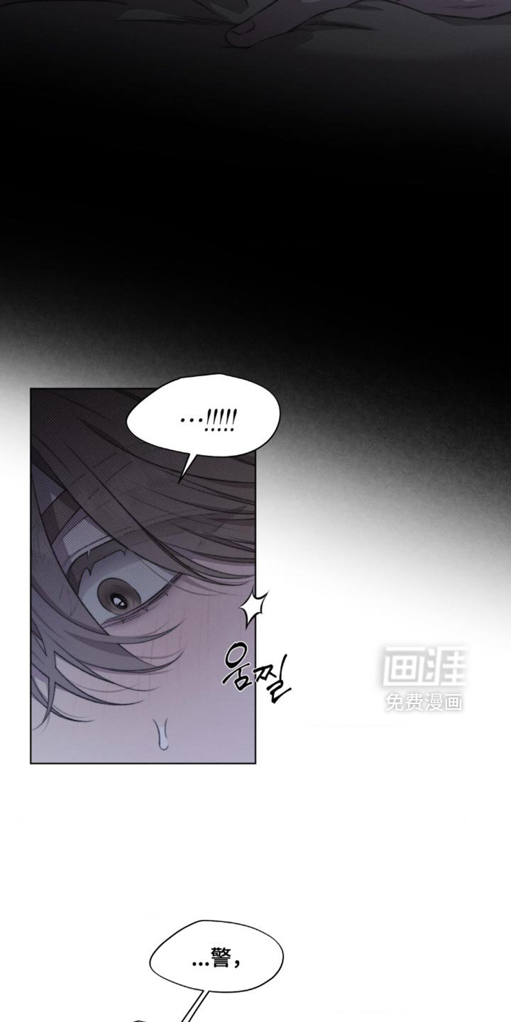 第19章：我也搞不懂了
