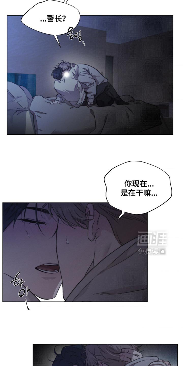 第19章：我也搞不懂了