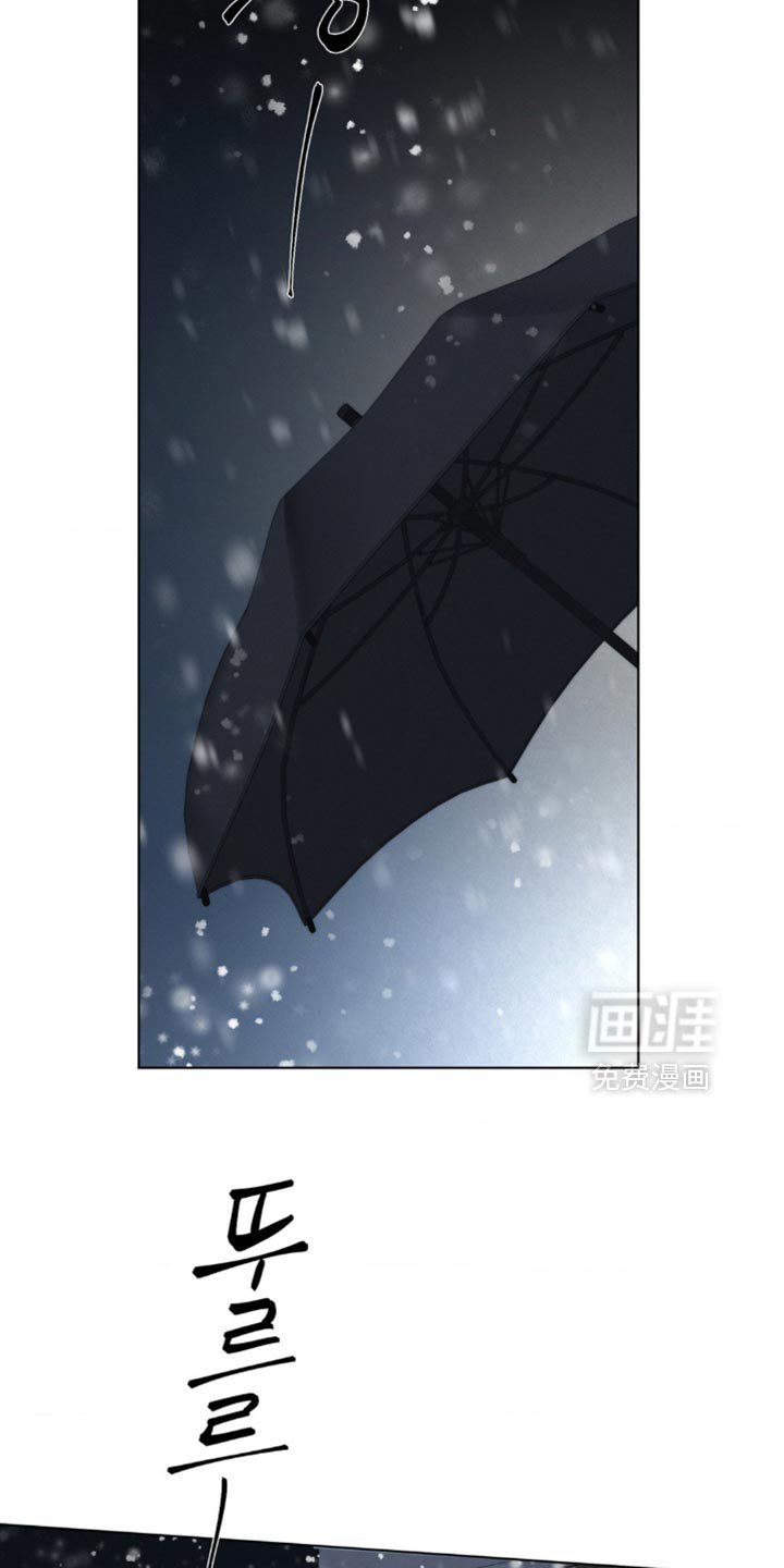 第30章：相似的情况