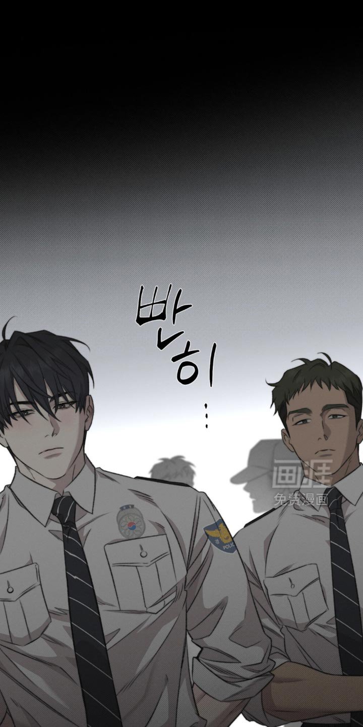 第37章：我们也没什么可做