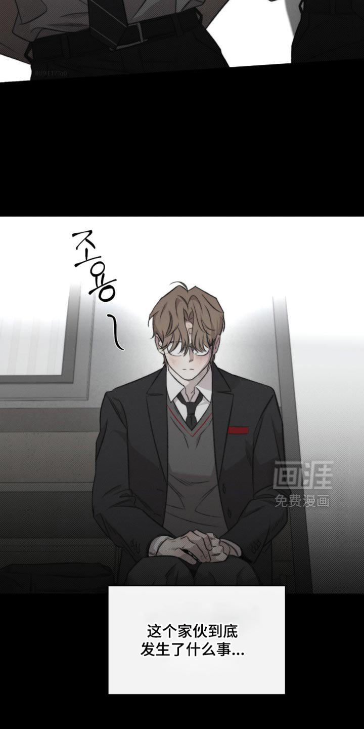 第37章：我们也没什么可做