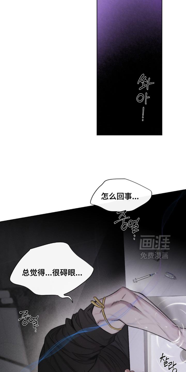 第43章：【第二季】长相