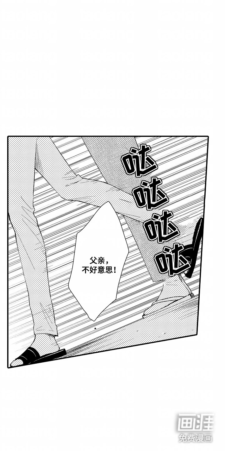 第10章：插花