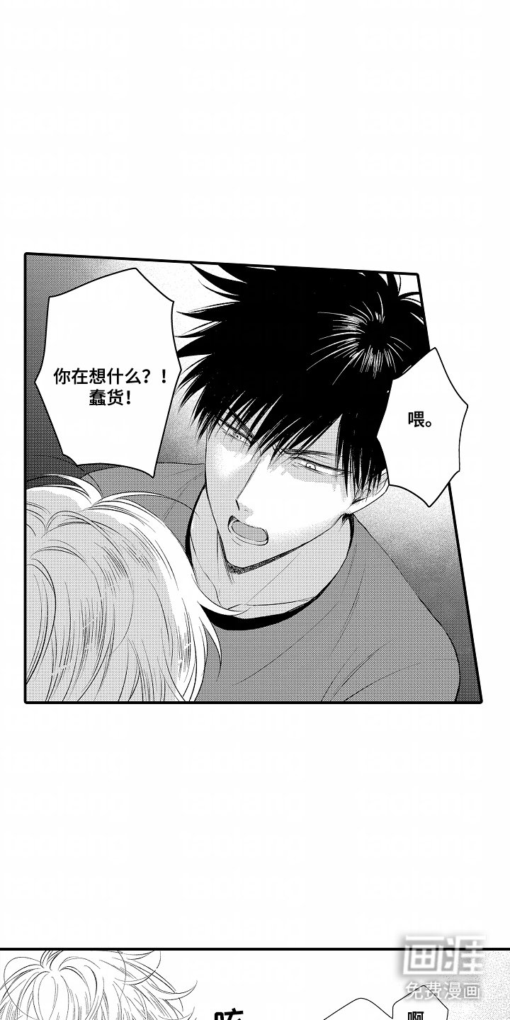 第10章：插花