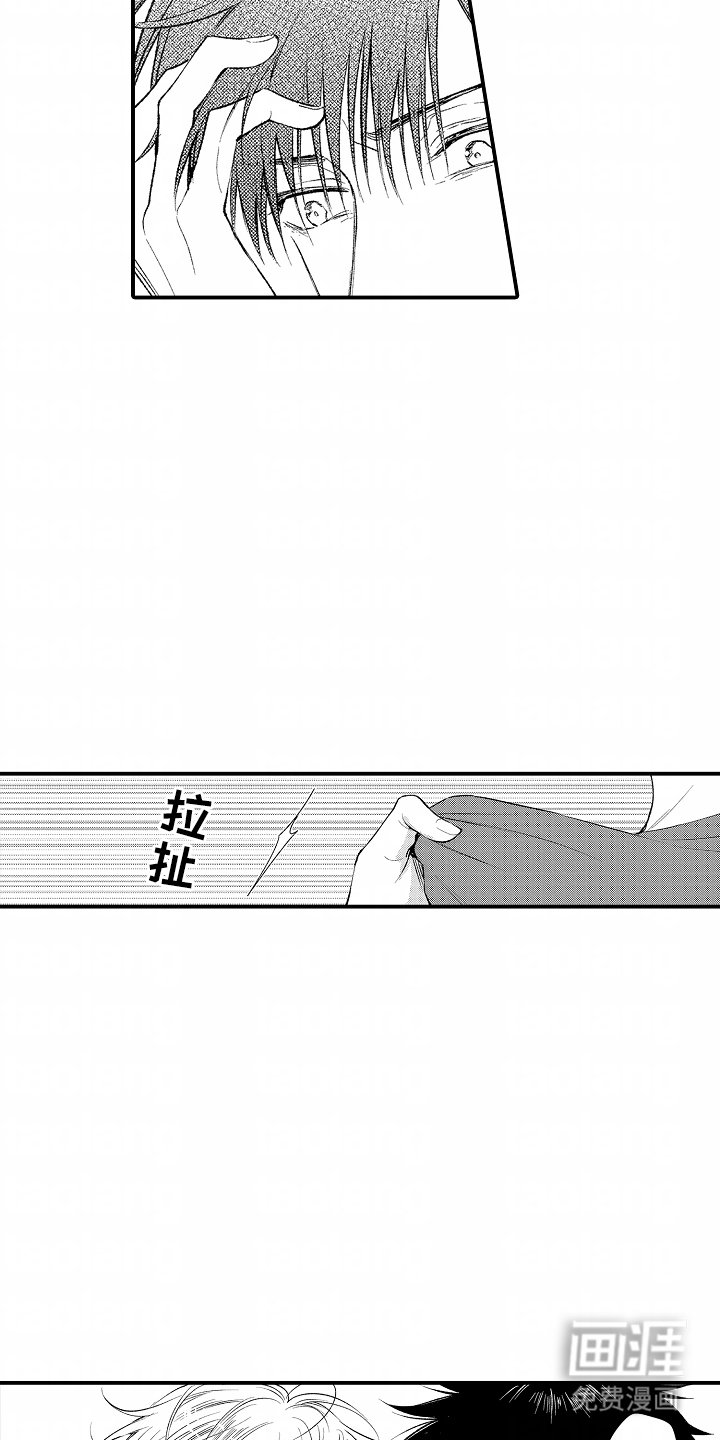 第10章：插花
