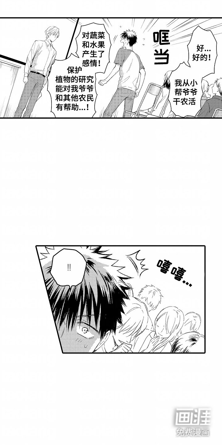 第15章：领域