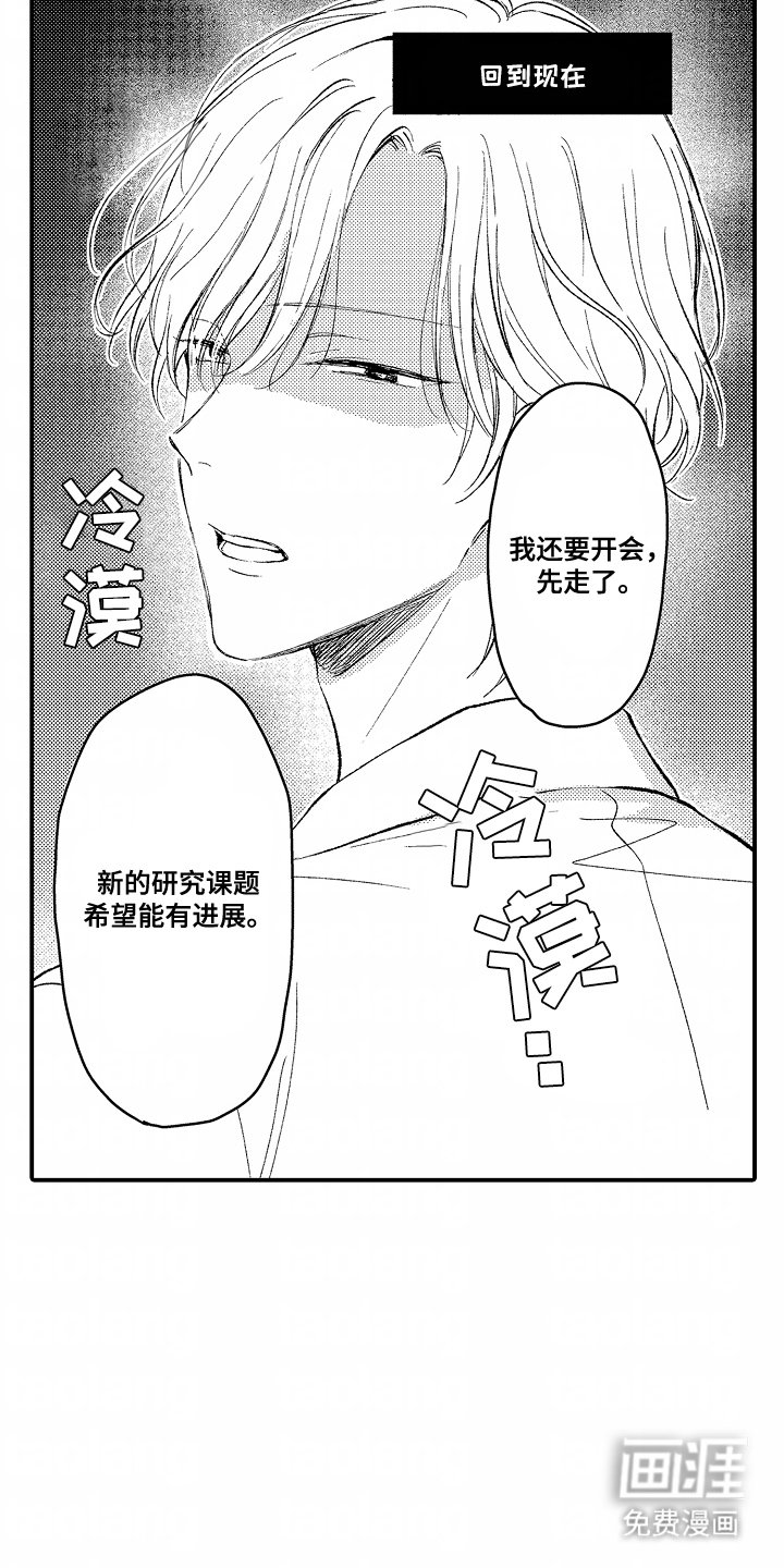 第15章：领域