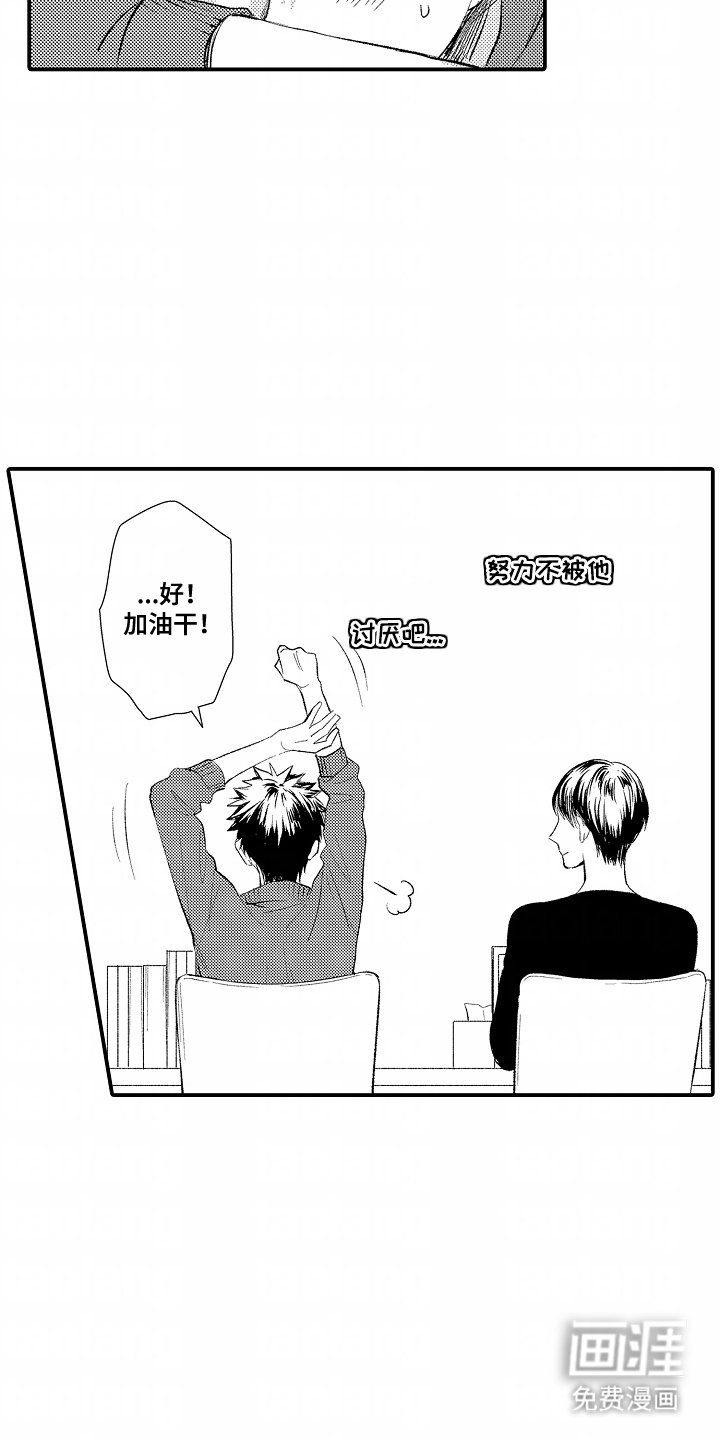第15章：领域