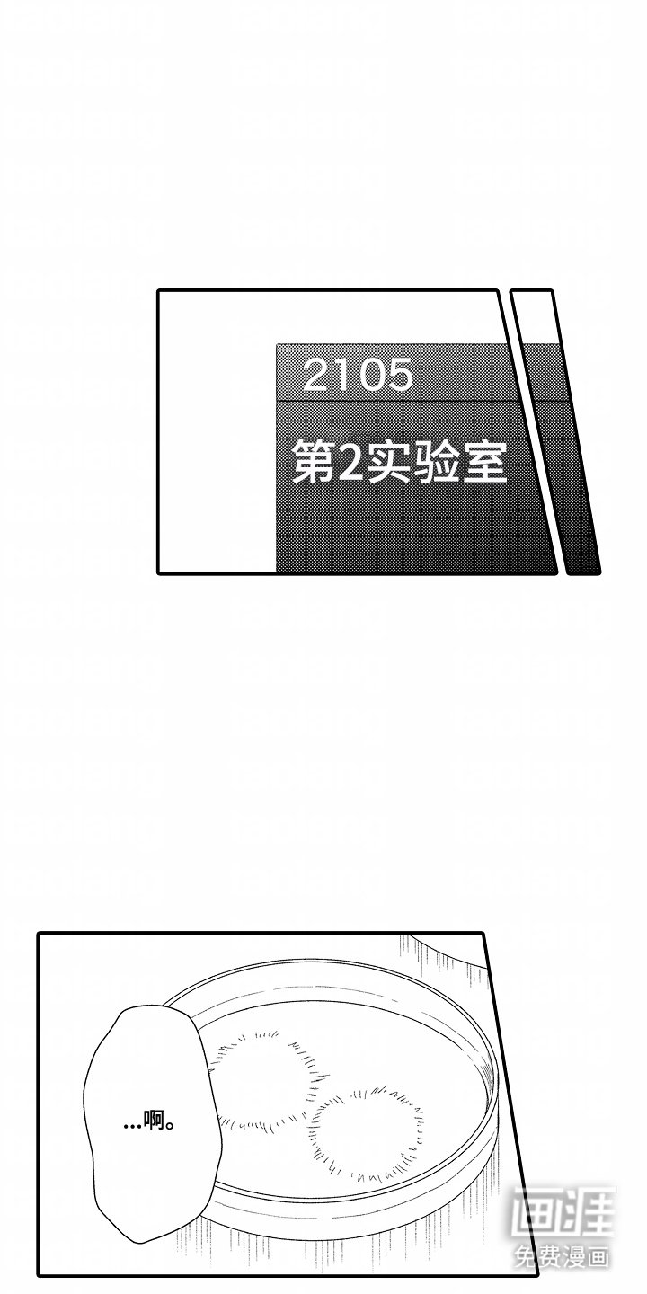 第15章：领域