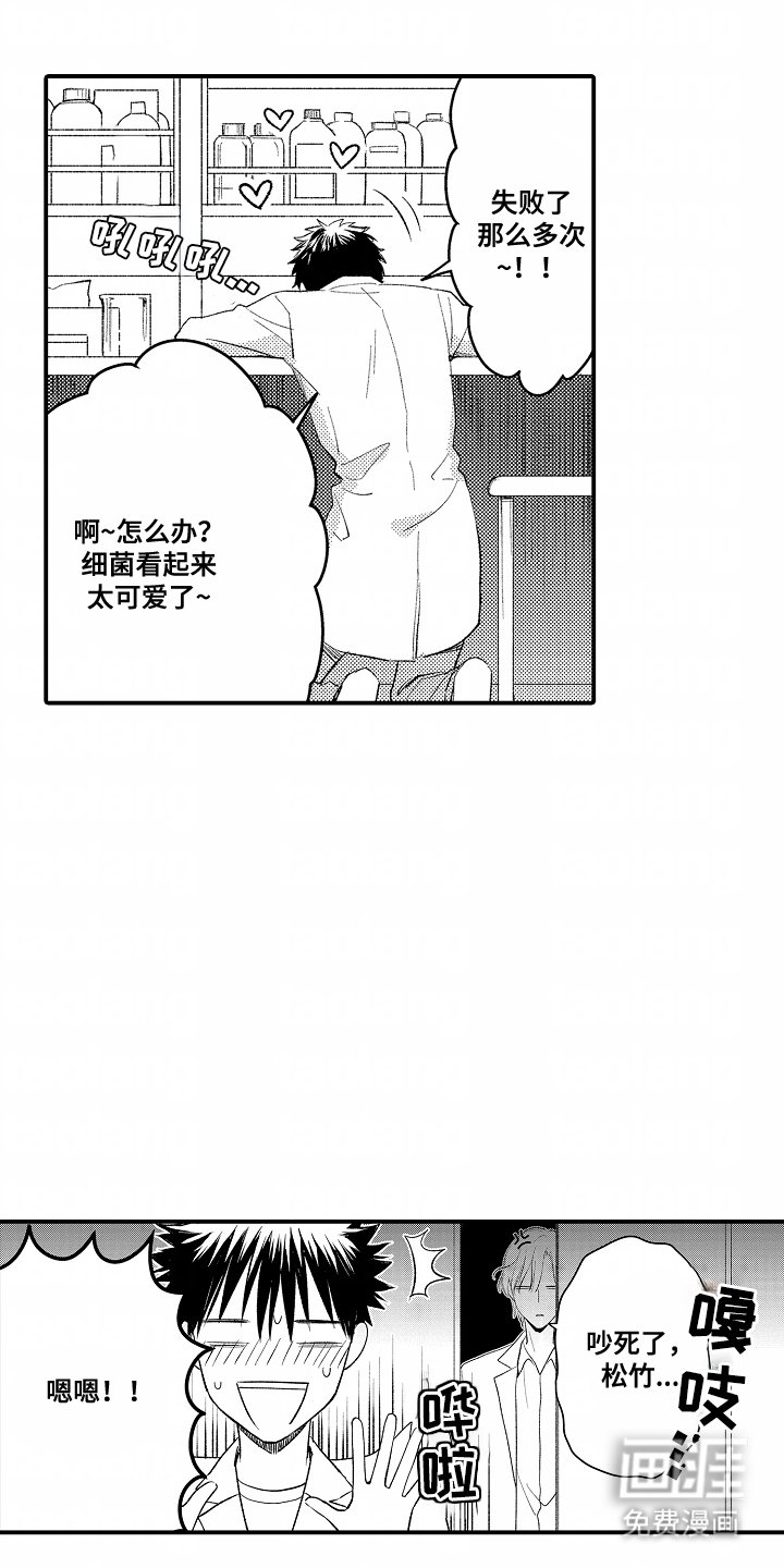 第15章：领域