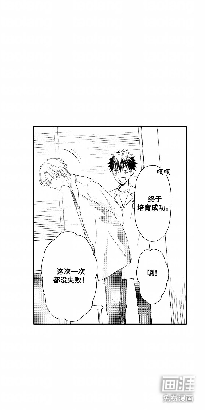 第15章：领域