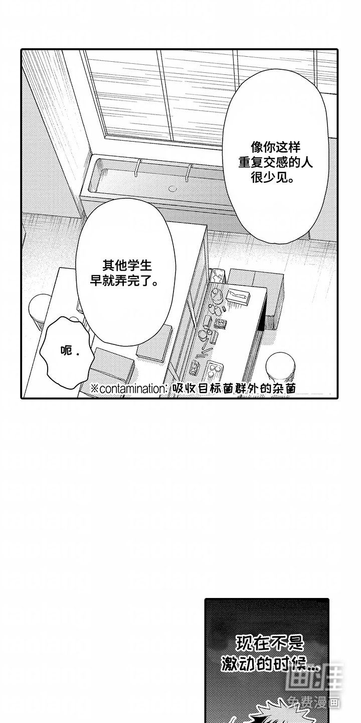第15章：领域