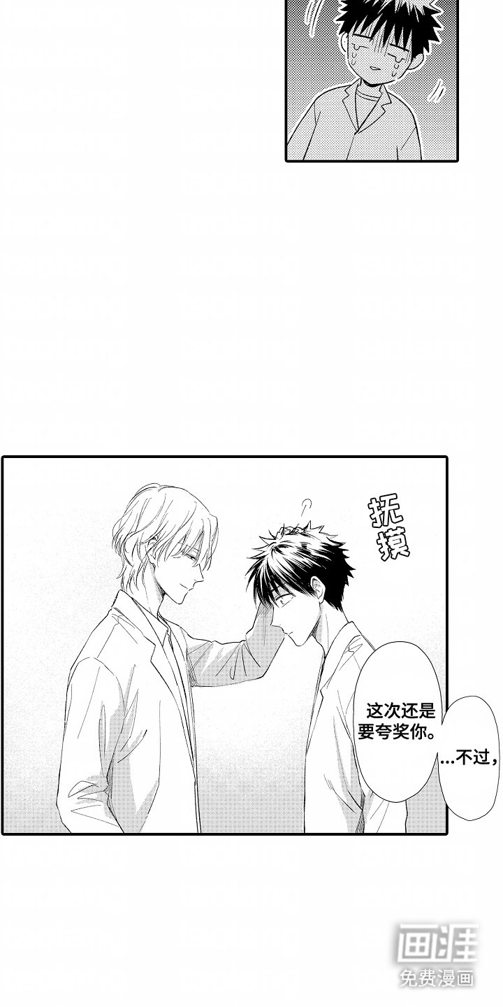 第15章：领域