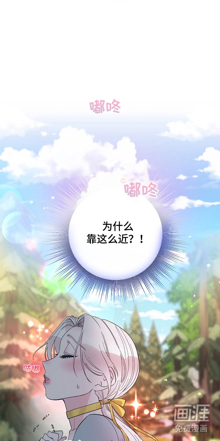 第12章：示范