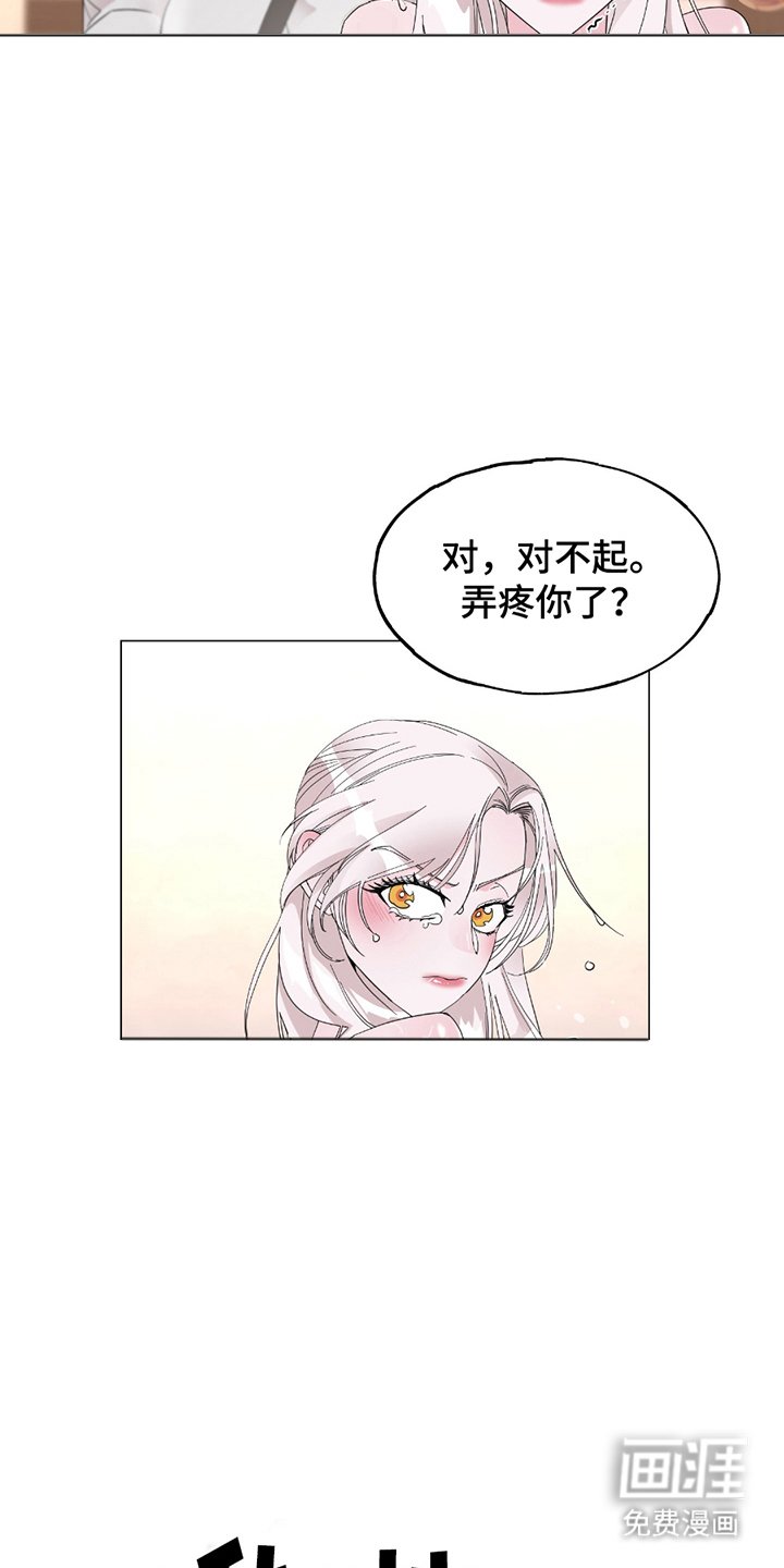 第17章：够了