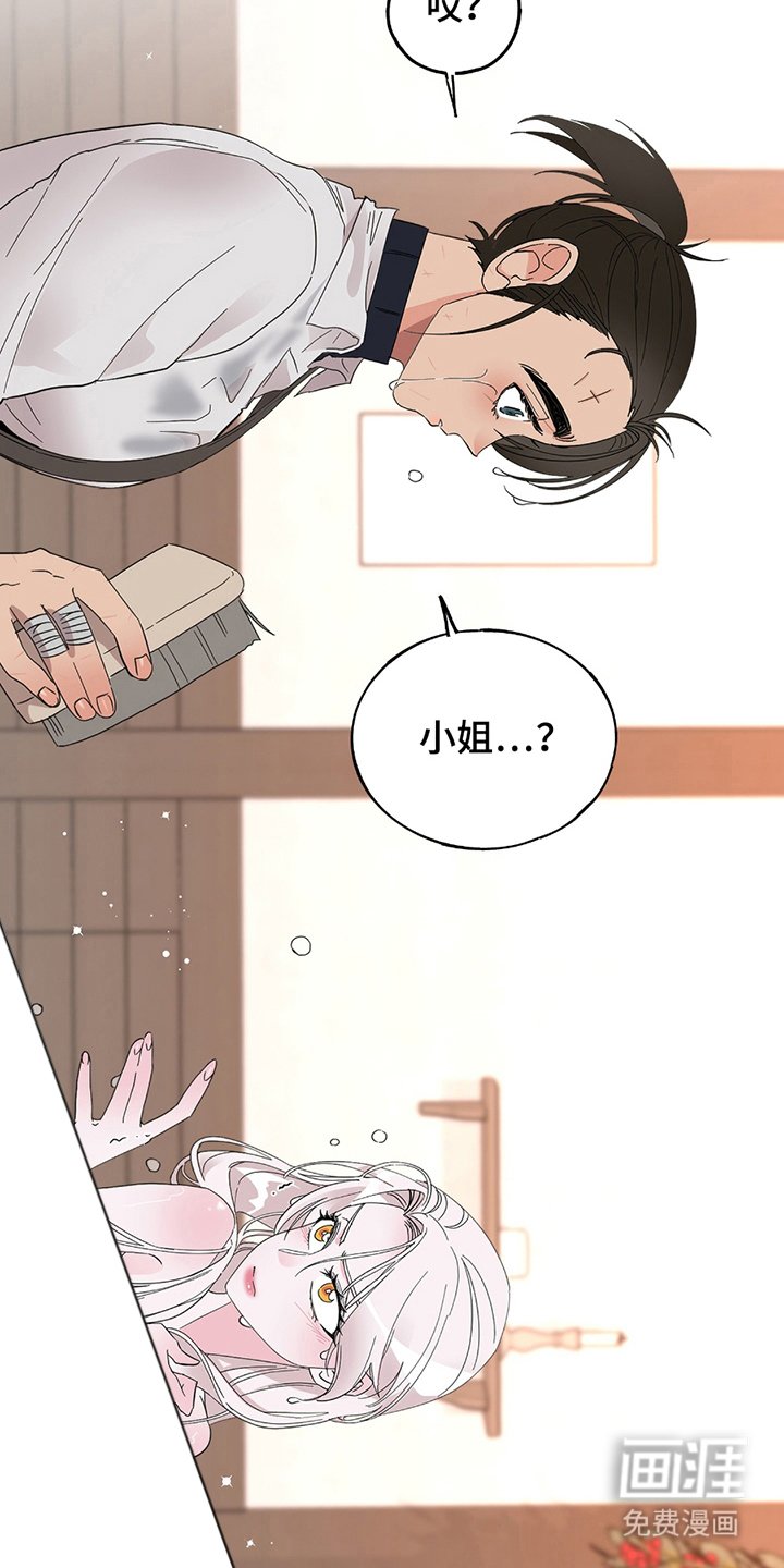 第17章：够了