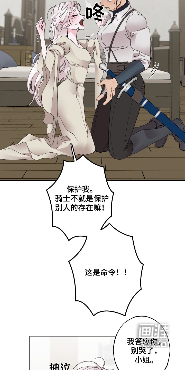 第26章：礼物