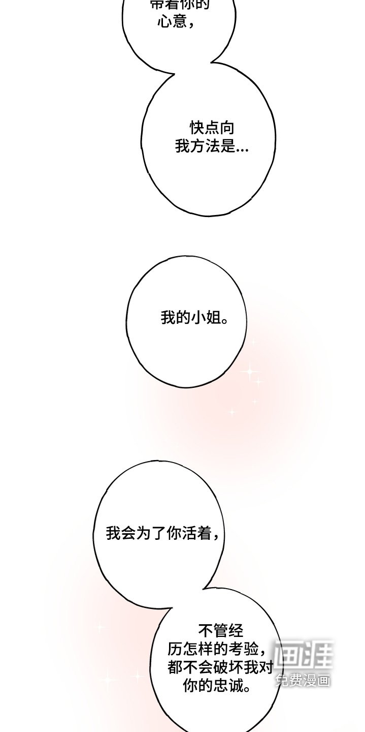 第26章：礼物
