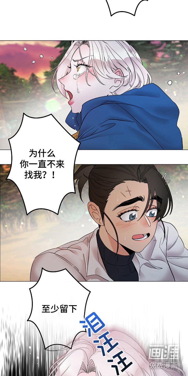 第6章：曾经的见习骑士