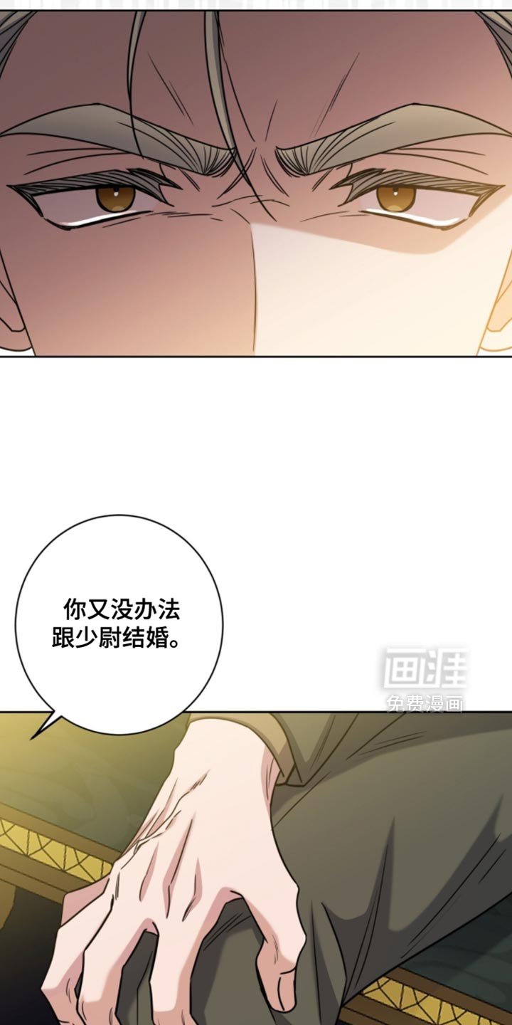 第111章：罪魁祸首