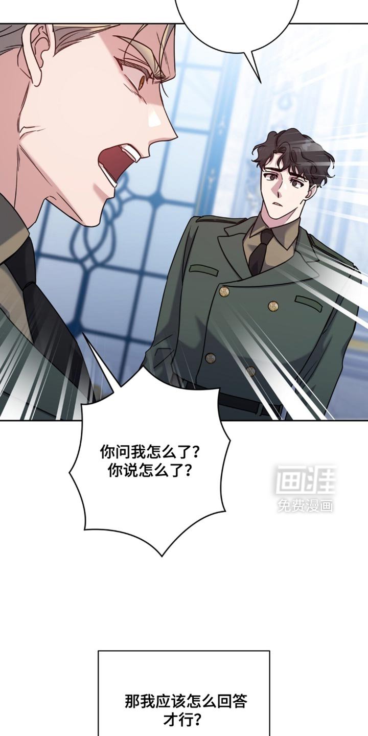 第113章：第三者