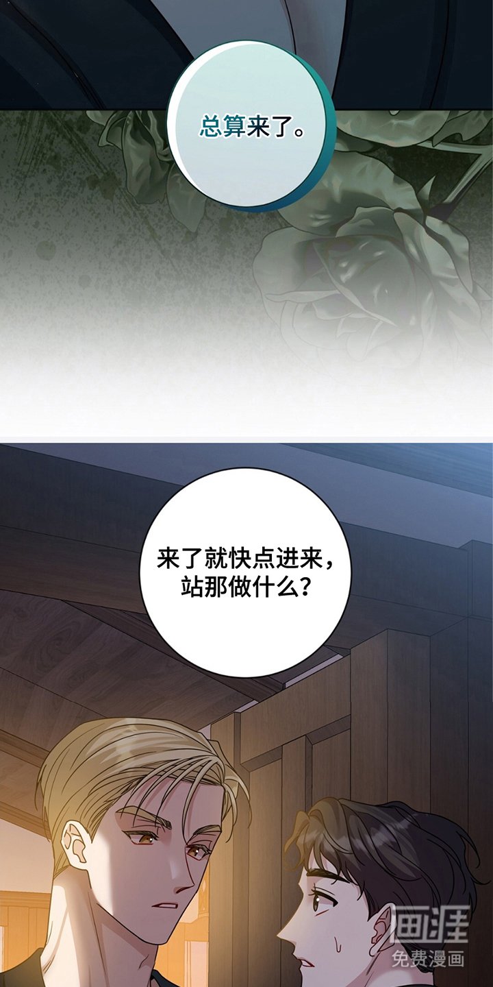 第17章：传唤