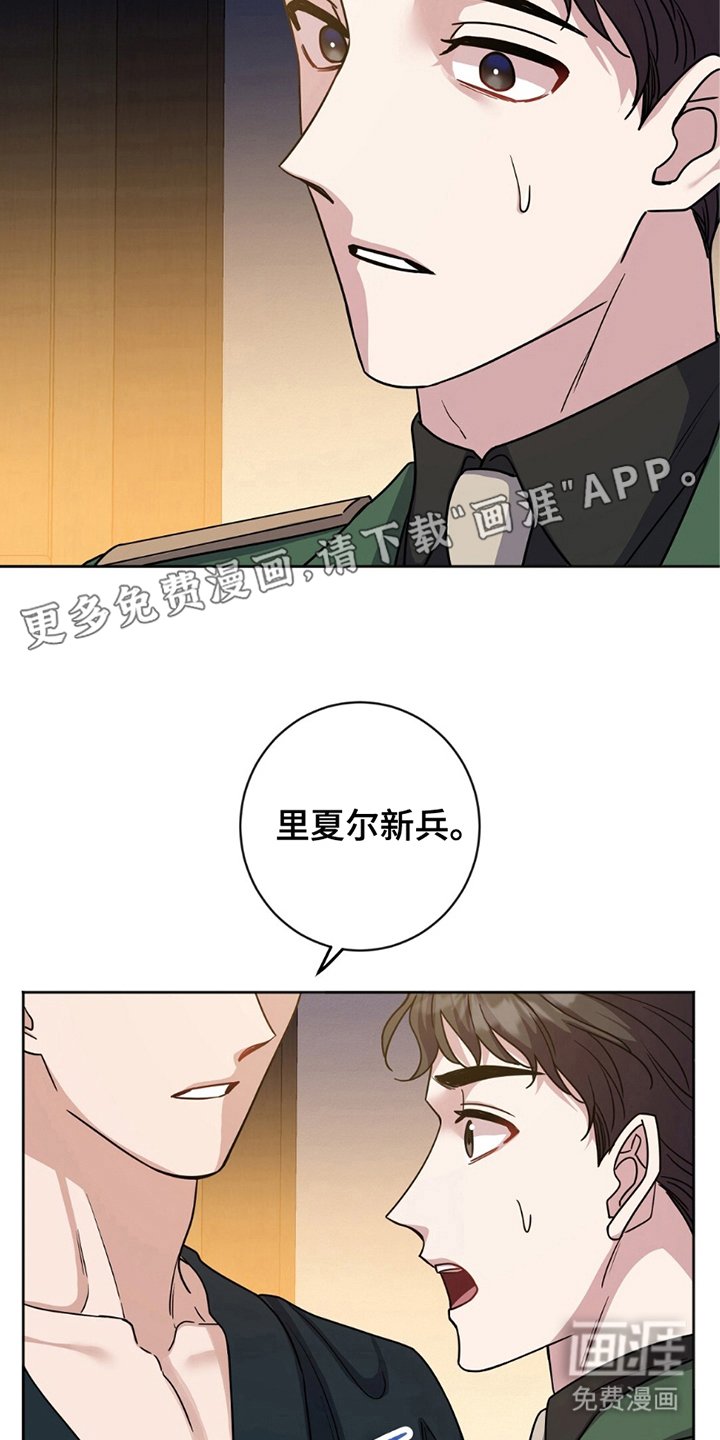 第18章：选择权