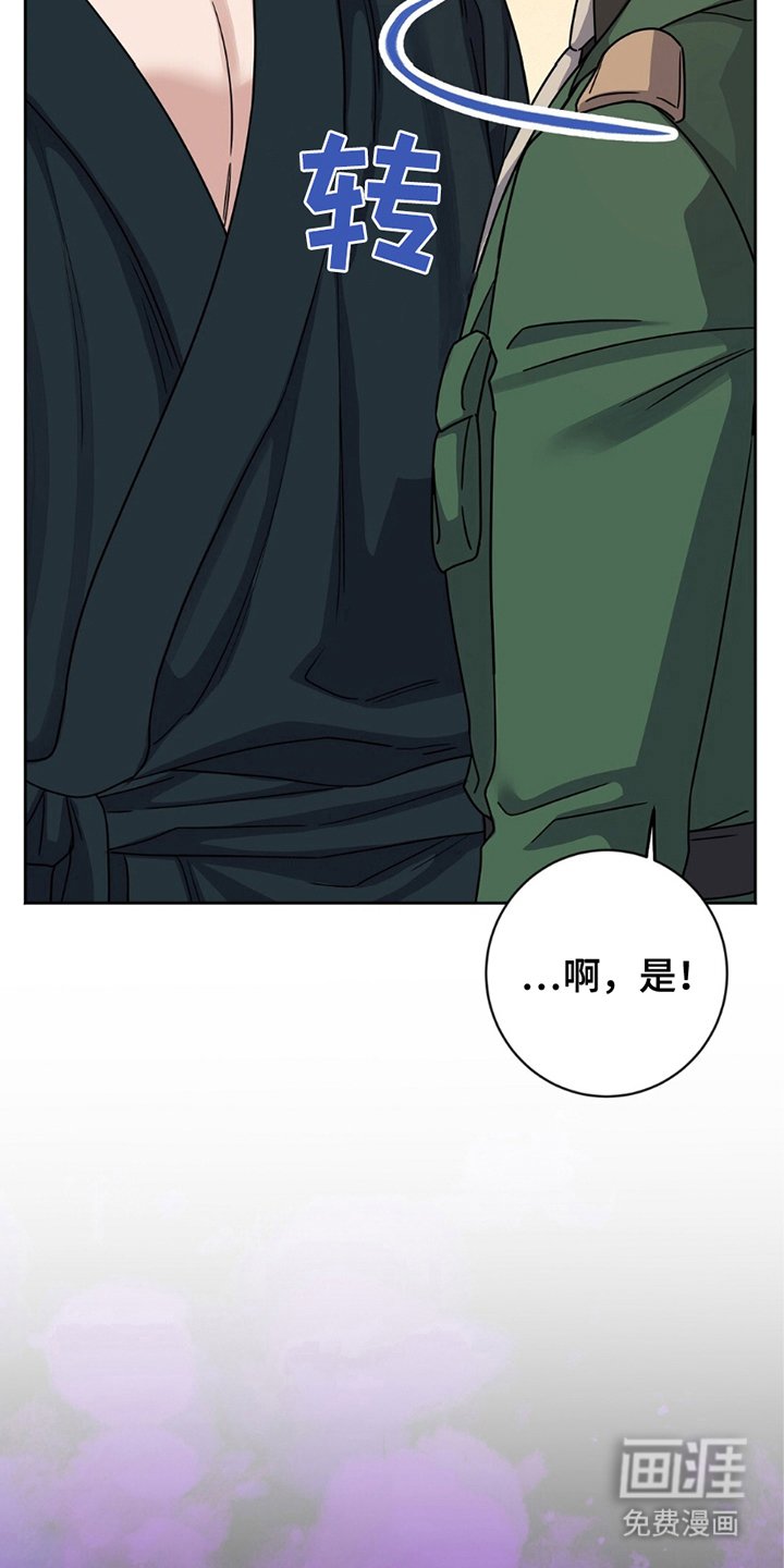 第18章：选择权