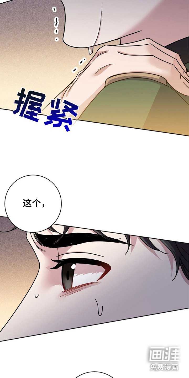第18章：选择权