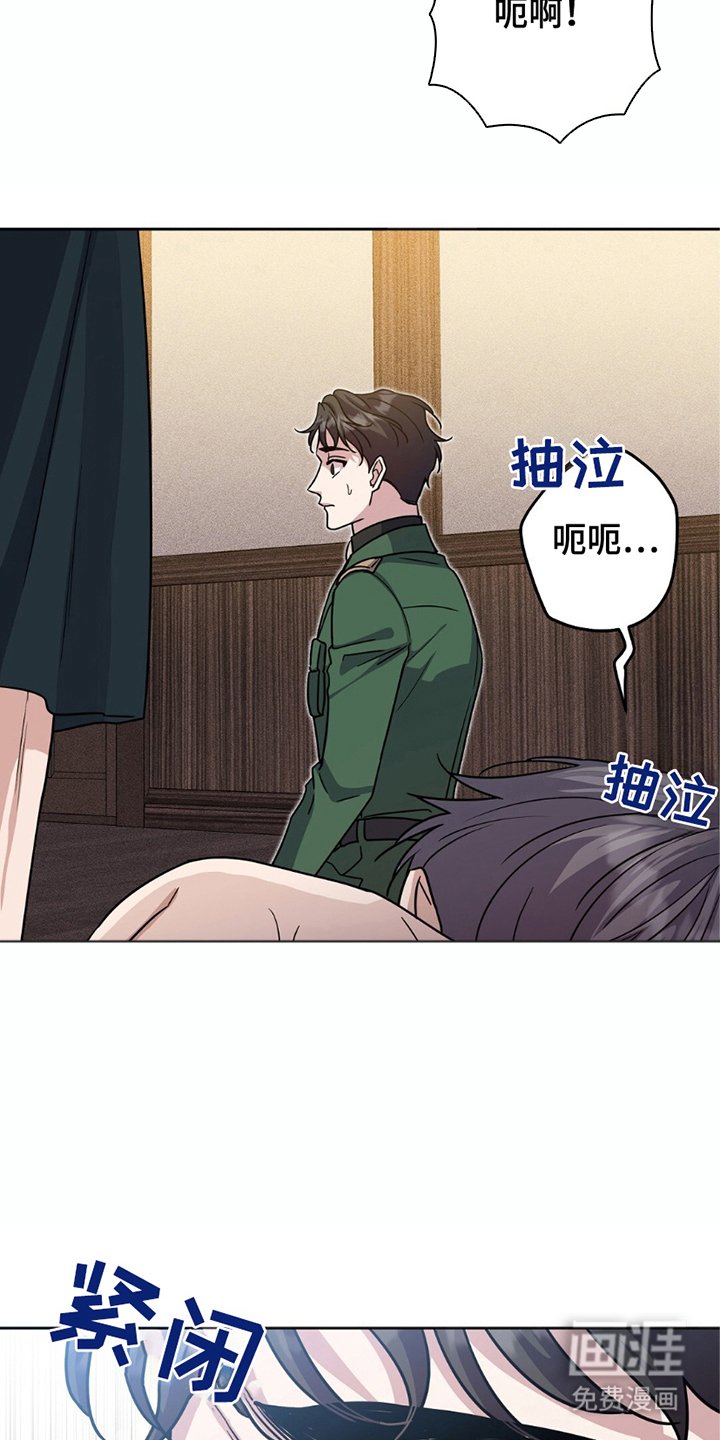 第18章：选择权