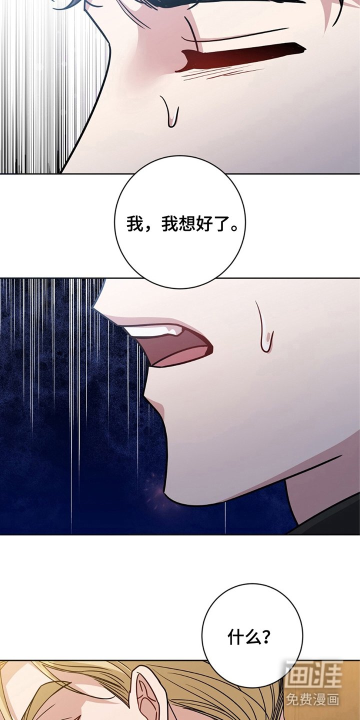 第18章：选择权