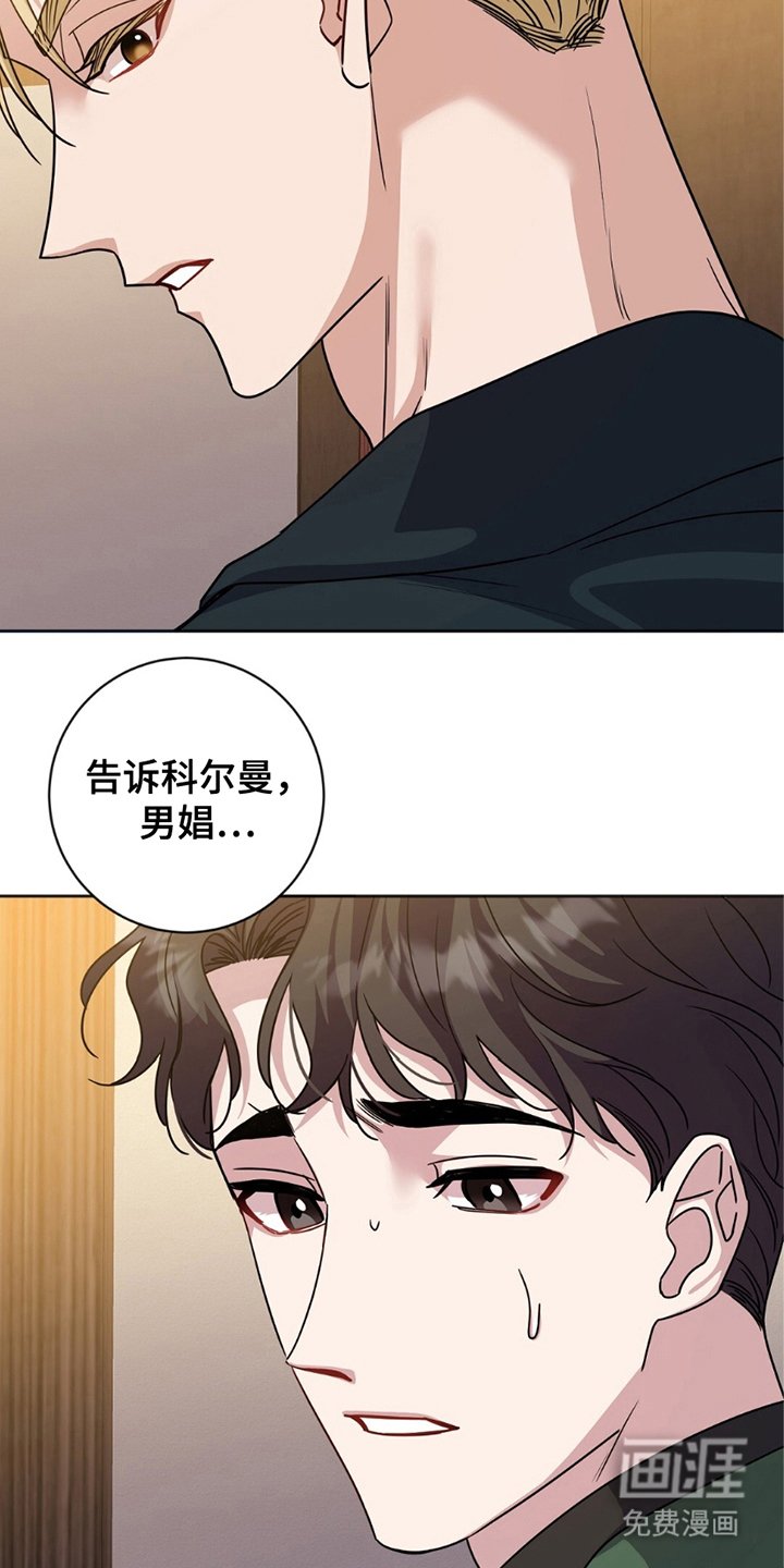 第18章：选择权