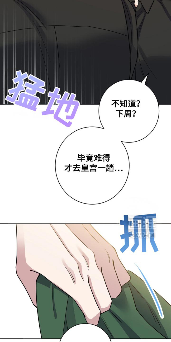 第32章：美好友谊的回忆