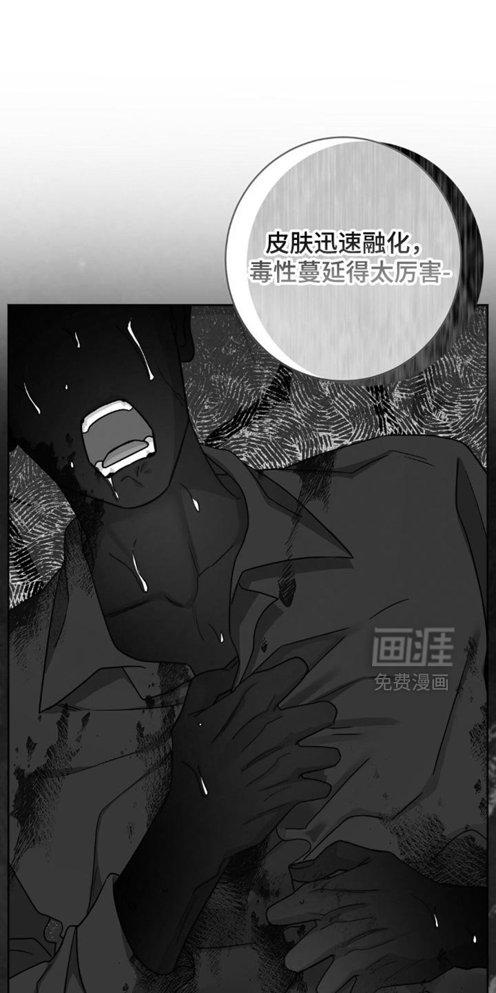 第35章：猜测