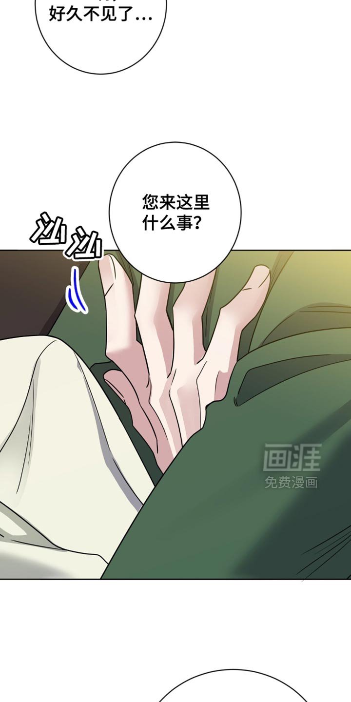 第44章：在这里说吧