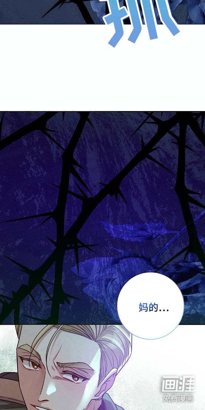 第6章：寄予希望