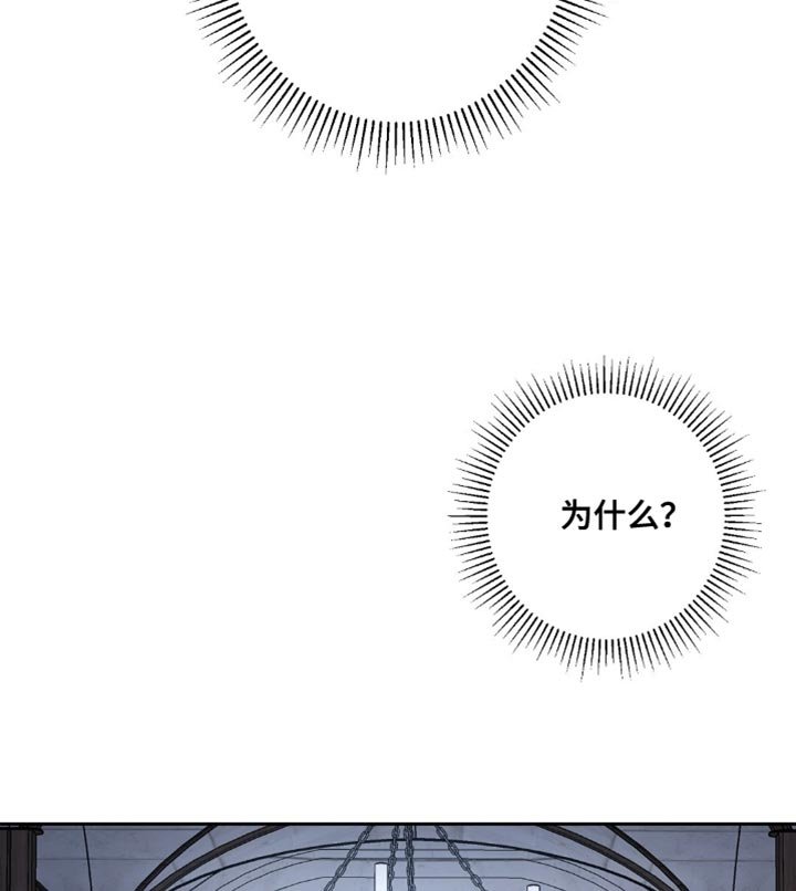 第80章：我不理解