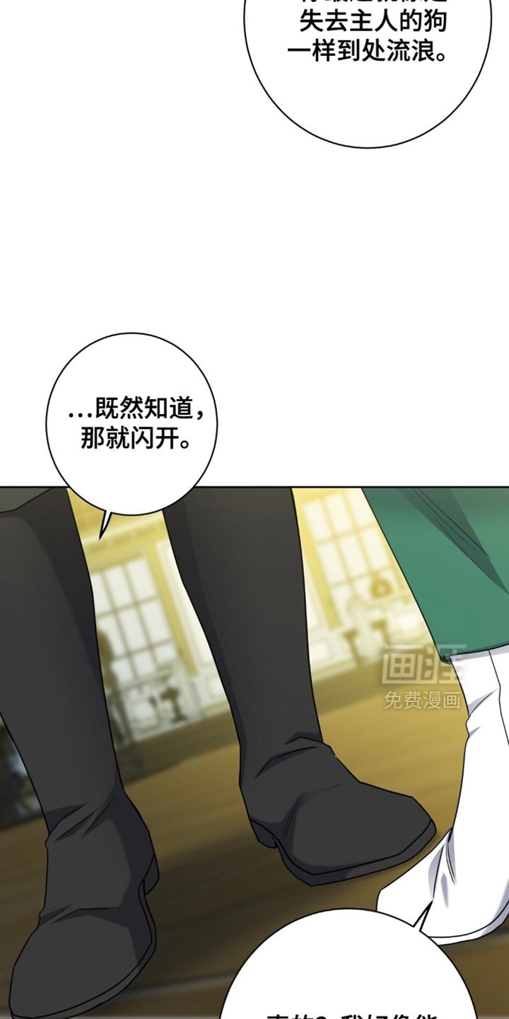 第88章：决心