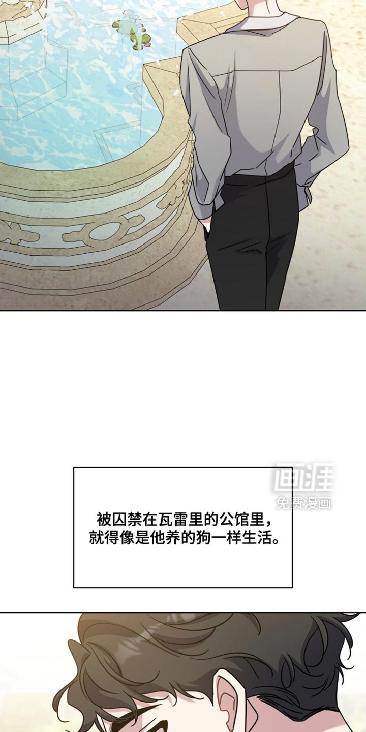 第90章：养狗的想法
