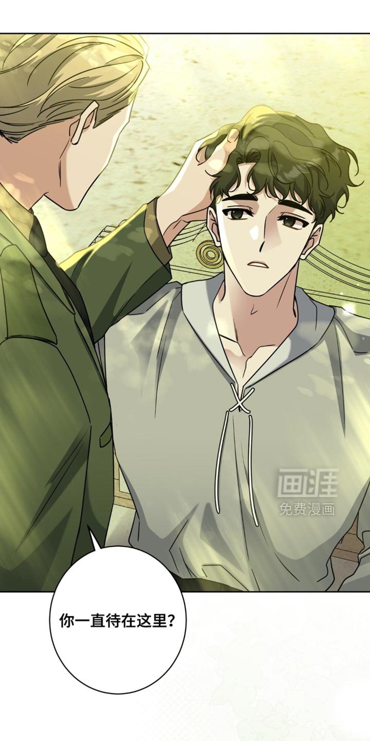 第90章：养狗的想法