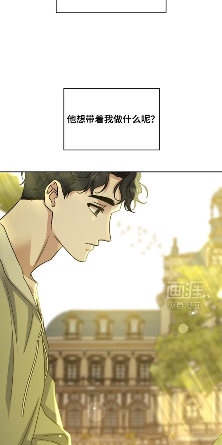 第90章：养狗的想法