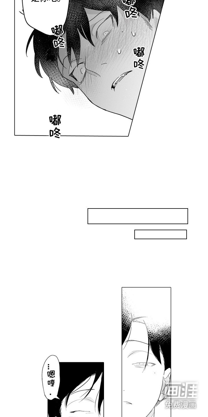 第12章：副作用