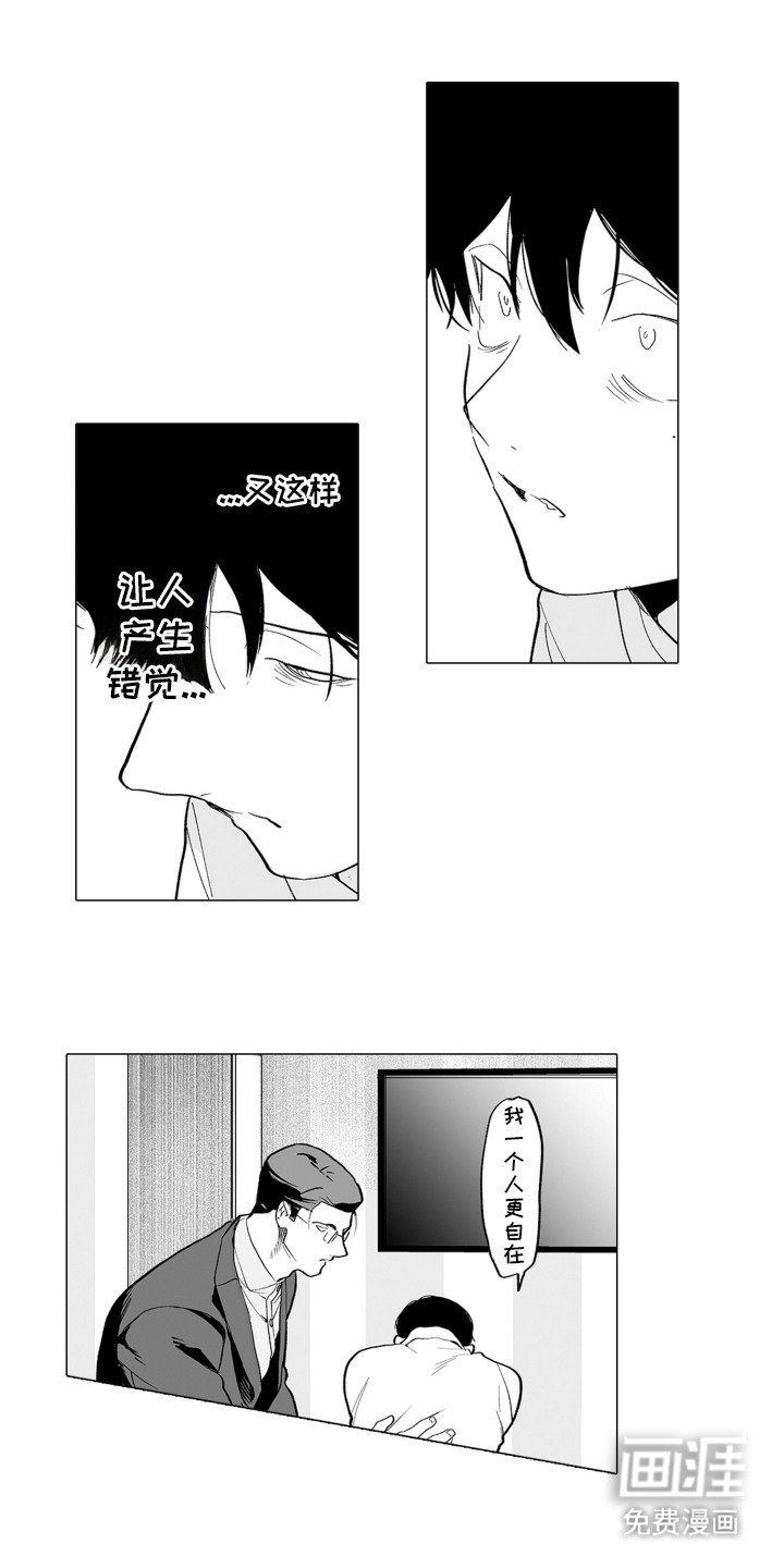 第13章：产生错觉