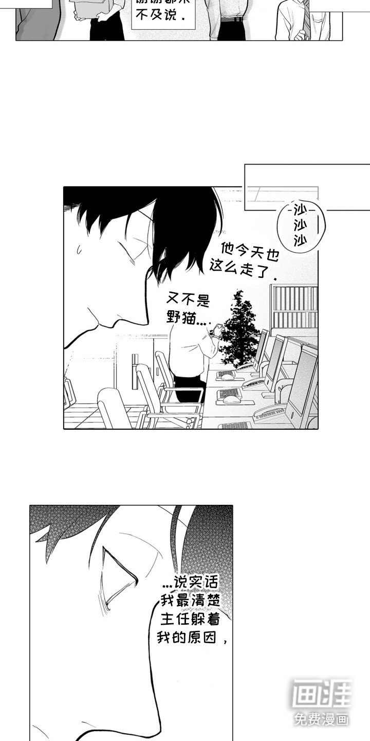 第16章：礼物攻势