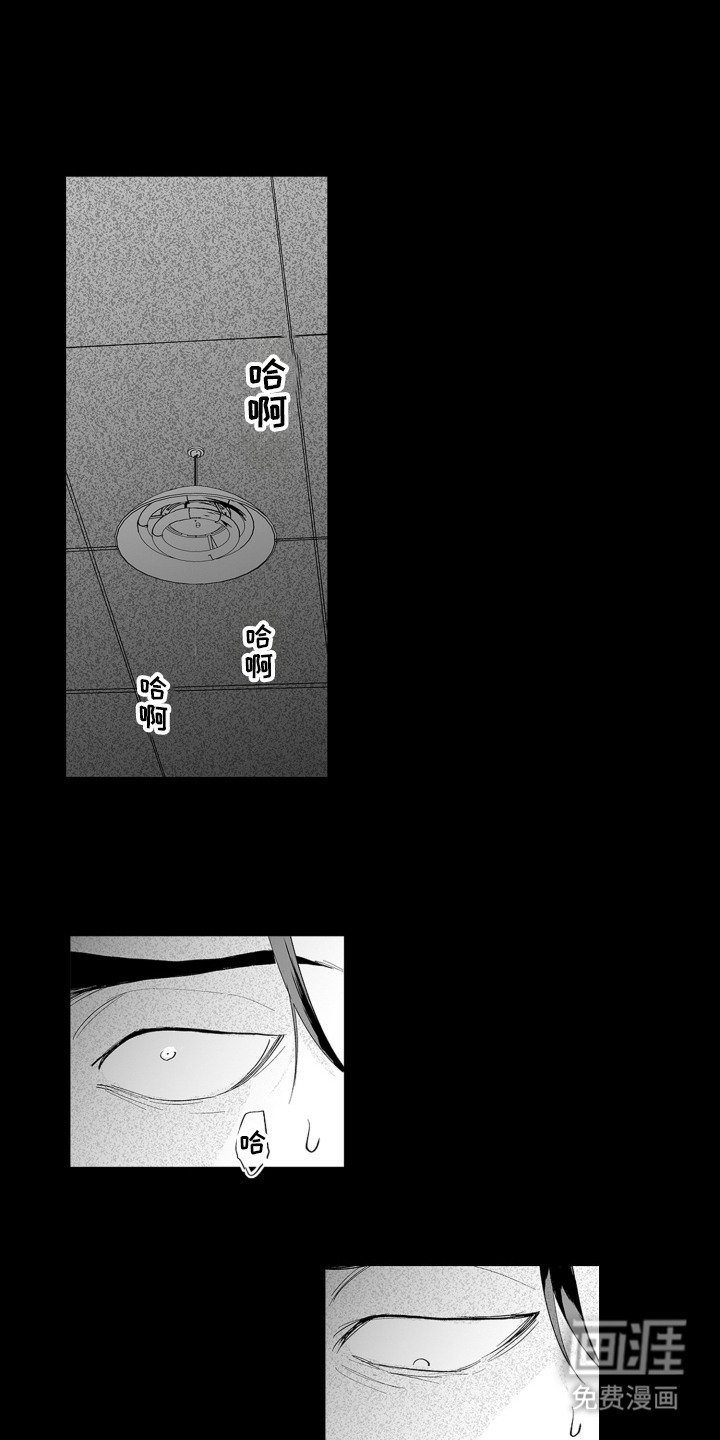 第18章：很矛盾