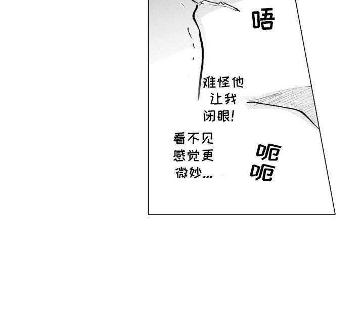 第3章： 魅魔